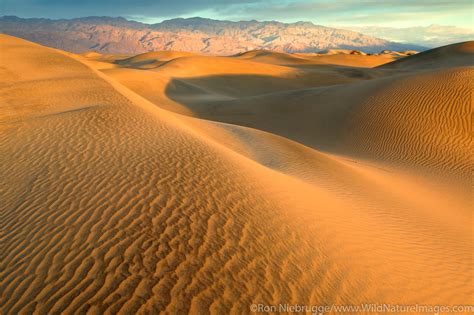 Mojave Desert .